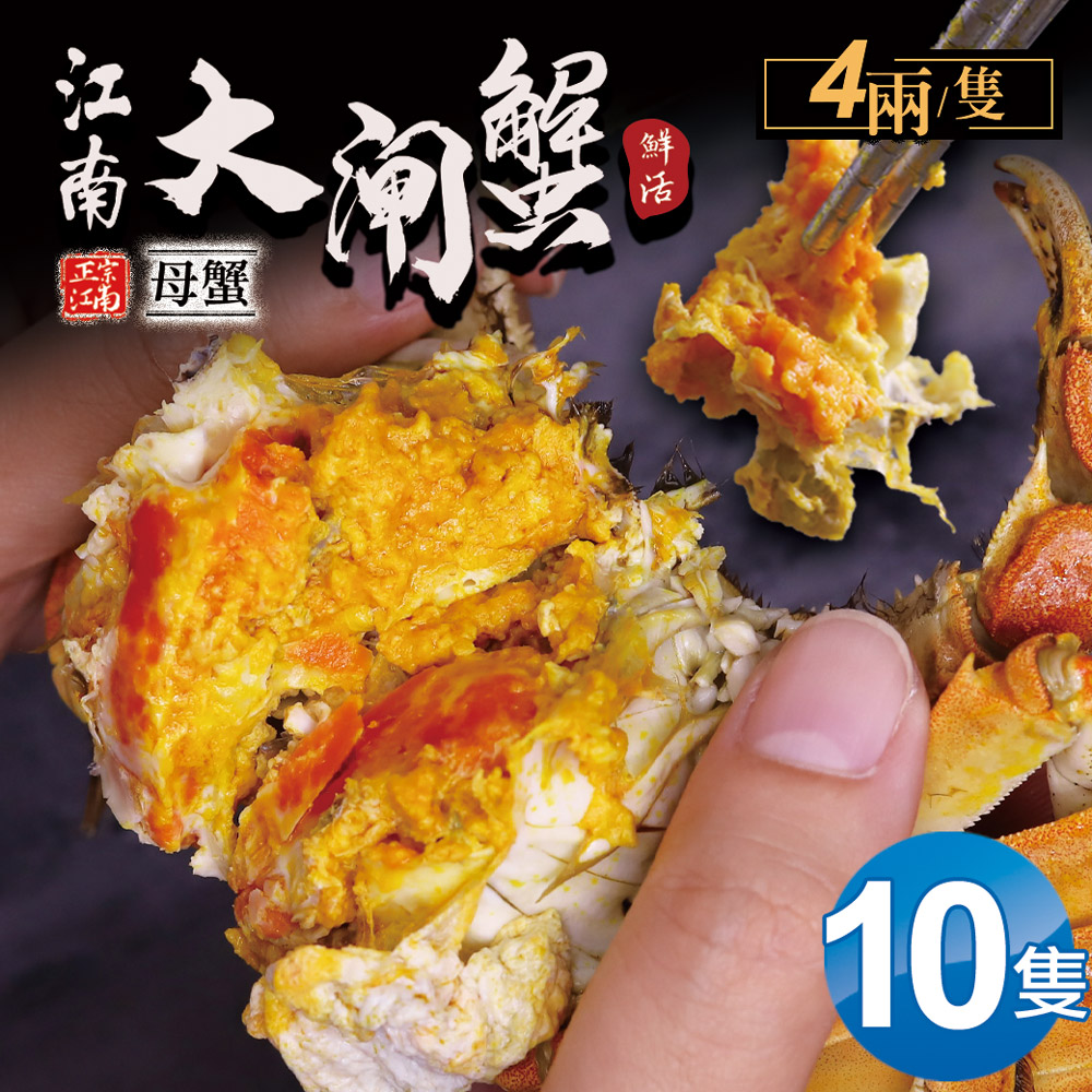 築地一番鮮 母4兩上大閘蟹 10隻/贈工具組/江南大閘蟹