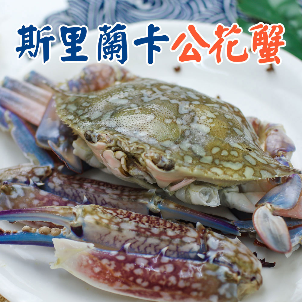 築地一番鮮 特大公花蟹300~350gX4隻｜蟹螯粗大 /肉質紮實鮮甜