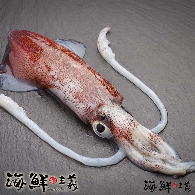 海鮮主義 鮮甜活凍透抽3包(850g±10%/包)