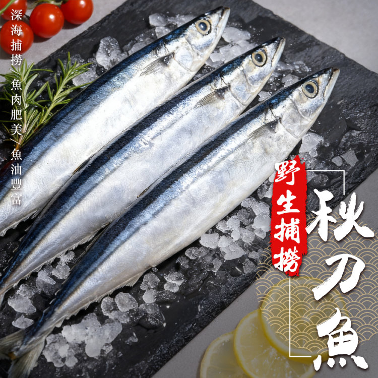 海肉管家 台灣野生秋刀魚(共24尾_3尾/約440g/包)