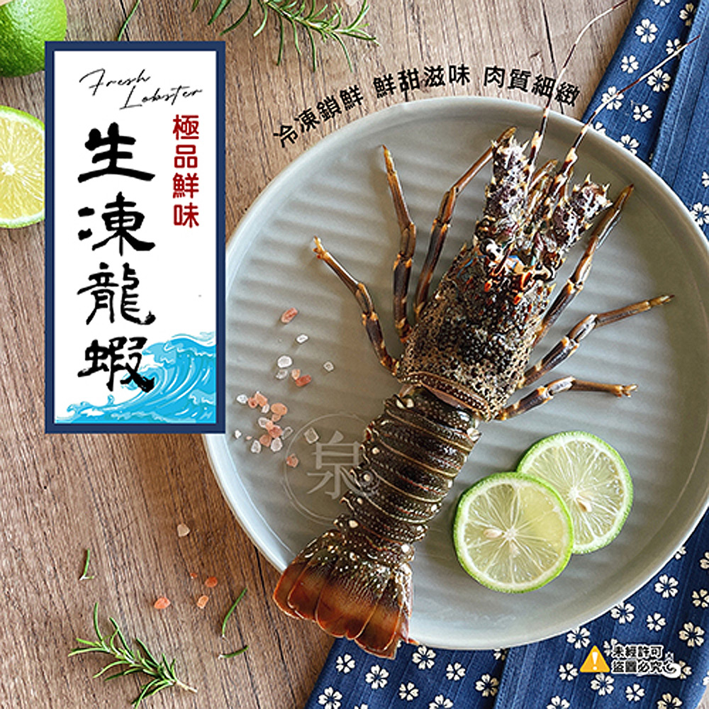 【愛尚豐饒】任-生凍龍蝦-3250g~3300-隻 (1隻)
