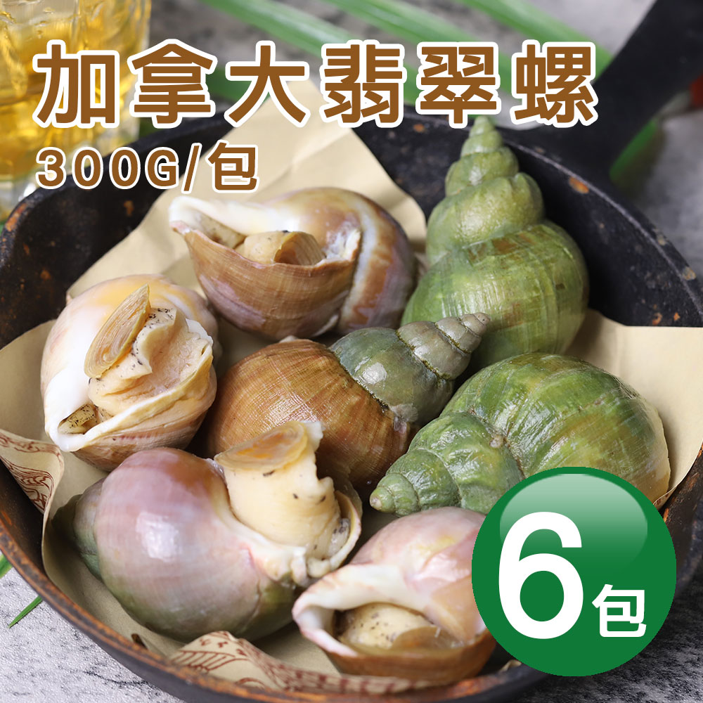 築地一番鮮熟凍｜加拿大翡翠螺X6包｜300G/包｜附獨家沾醬- PChome 24h購物