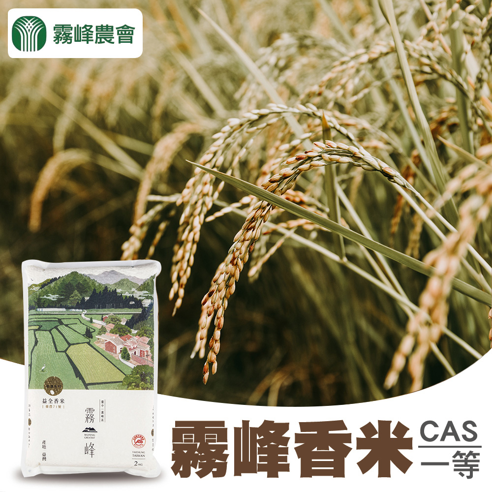 台灣農會 【霧峰農會】益全香米-台農71號2kgX10包-箱