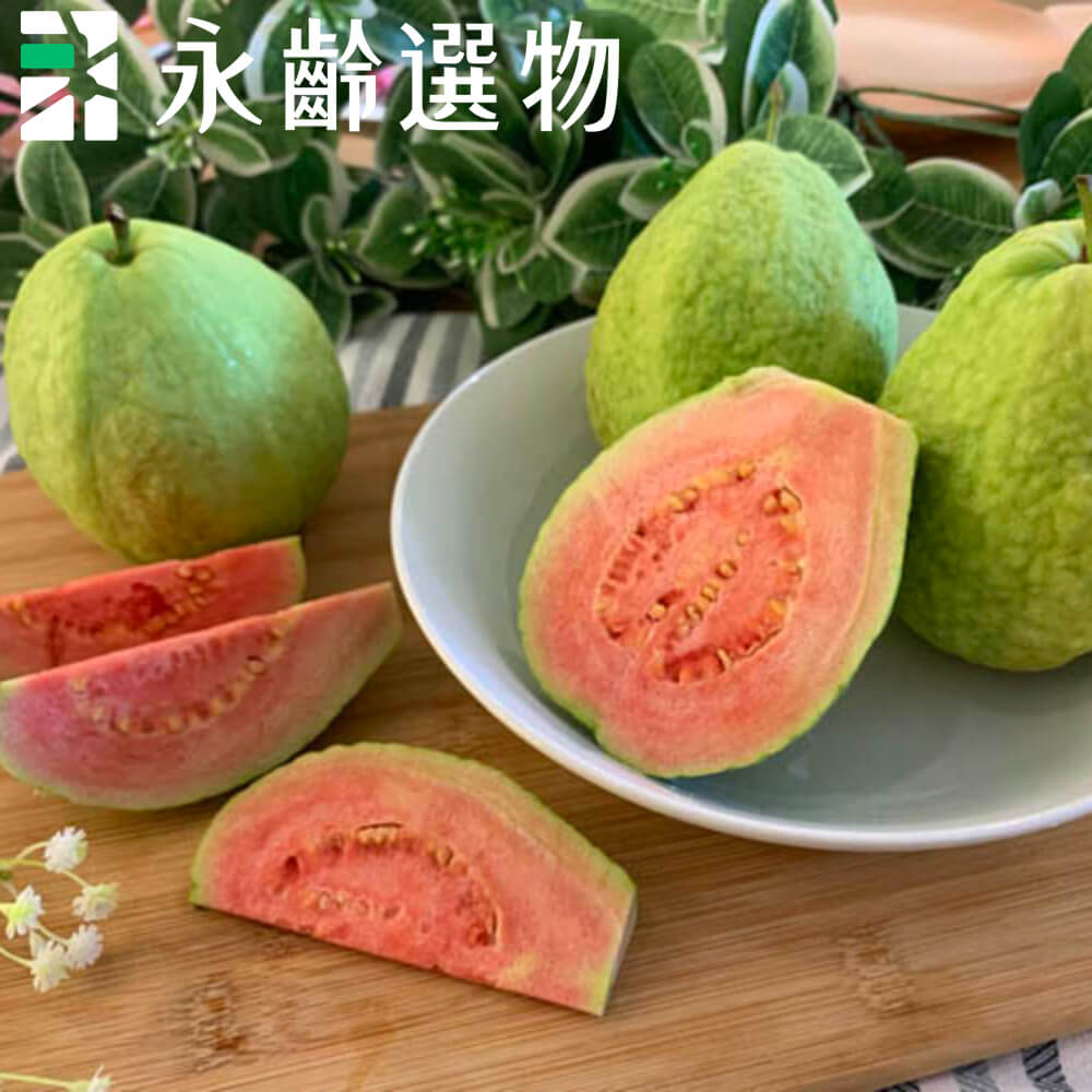 永齡選物 紅心芭樂1.5kg(約5入)