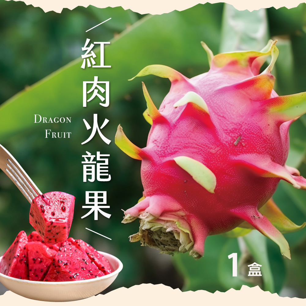初品果 產地直送紅肉火龍果禮盒5斤6-9顆x1盒_含豐富營養素