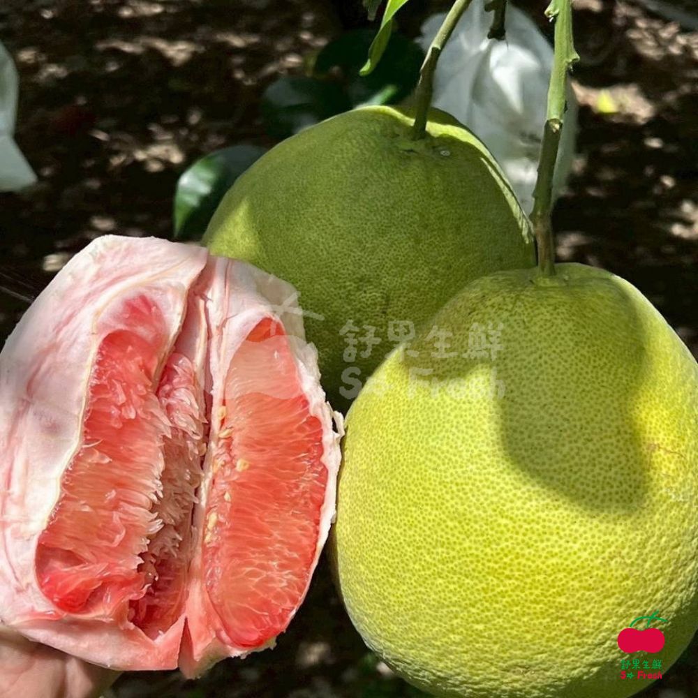 舒果 台南麻豆紅文旦 (3-7顆/約10斤/原裝箱)