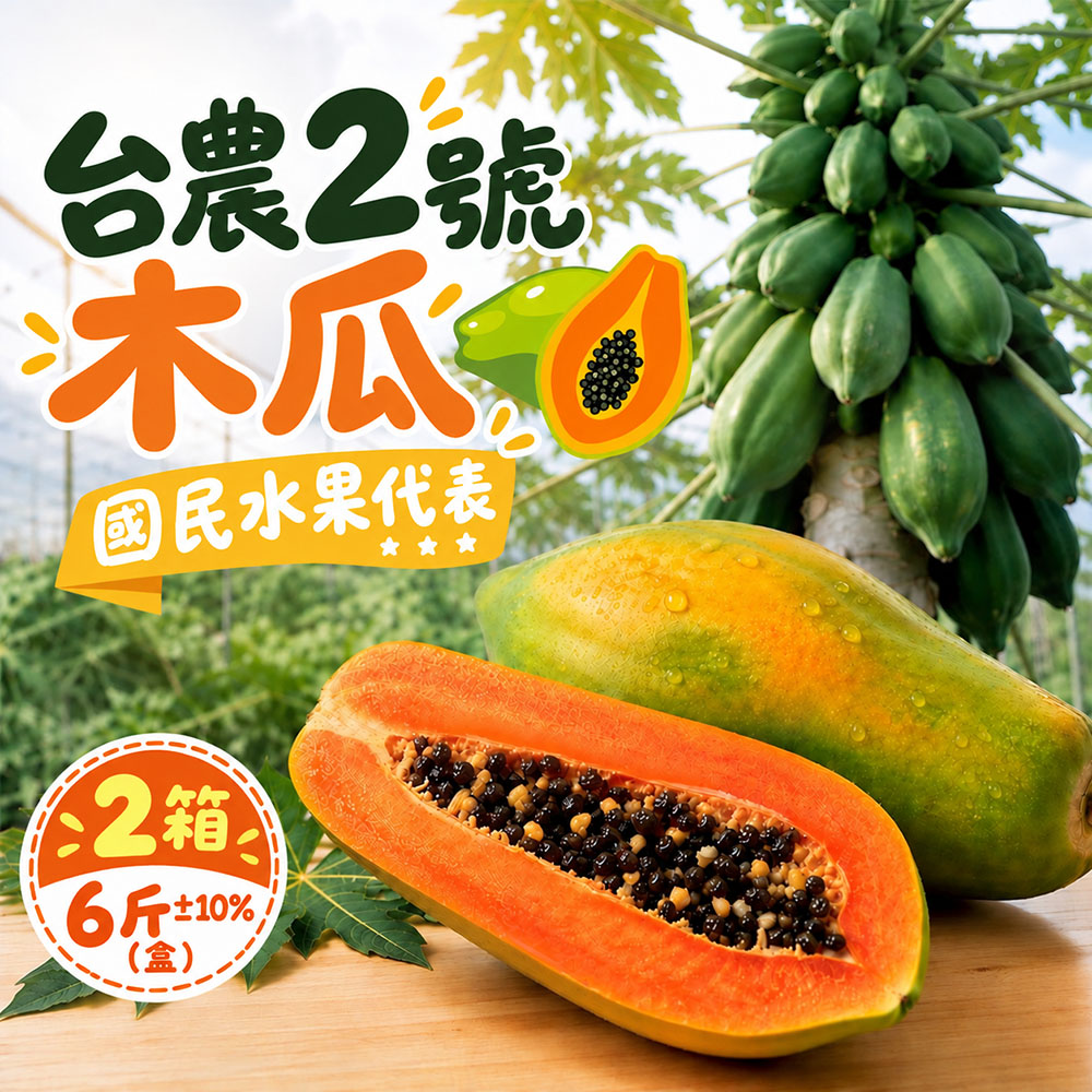 初品果 台農2號木瓜6斤2箱 (產地直送新鮮看的見)