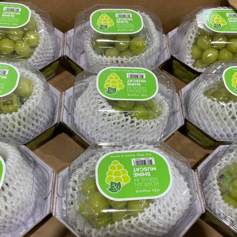 RealShop 真食材本舖 韓國空運原裝香印麝香葡萄 2串禮盒 共約1.2kg±10%