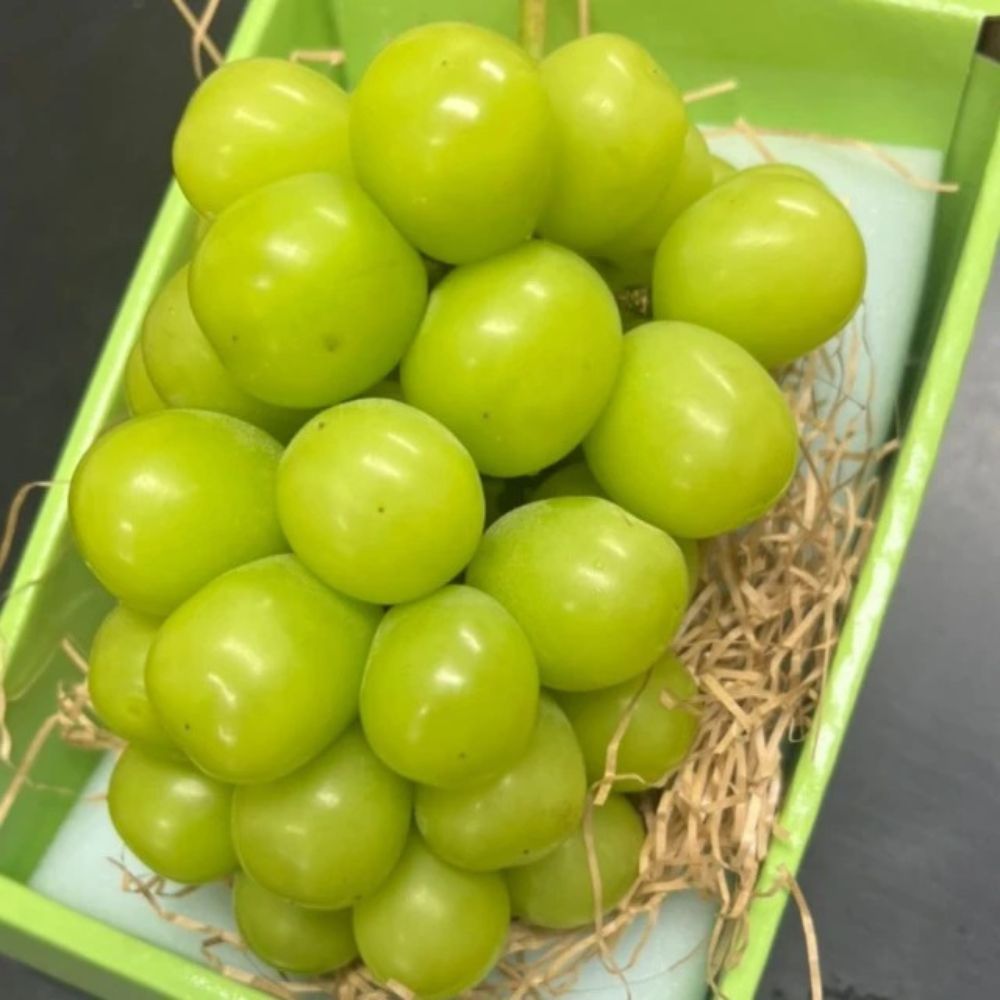 RealShop 真食材本舖 大串 最高等級日本岡山晴王麝香禮盒 兩房裝 共約1.5kg±10% (精品禮盒 高級水果)