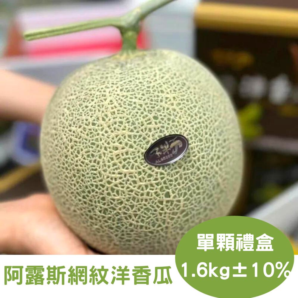RealShop 真食材本舖 日本頂級品種 阿露斯網紋洋香瓜 約1.6kg單顆裝禮盒