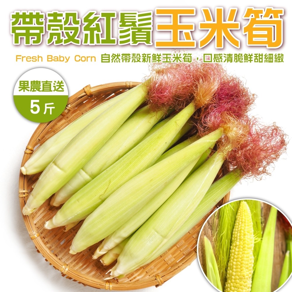WANG蔬果 【果農直配】紅鬚玉米筍(5斤/箱)
