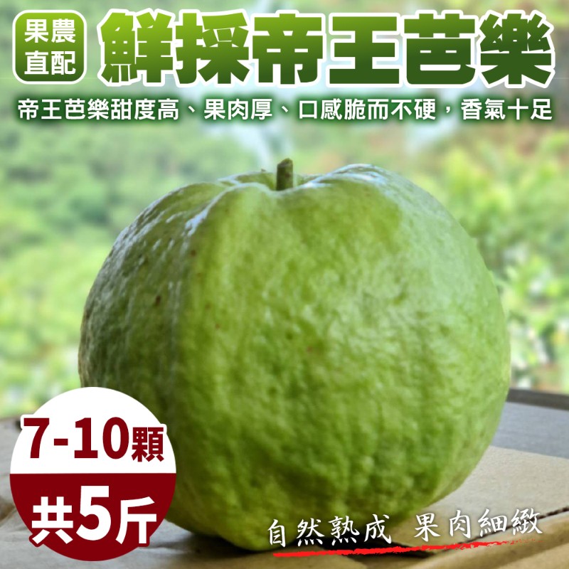 WANG蔬果 【果農直配】台灣嚴選帝王芭樂(5斤/箱)