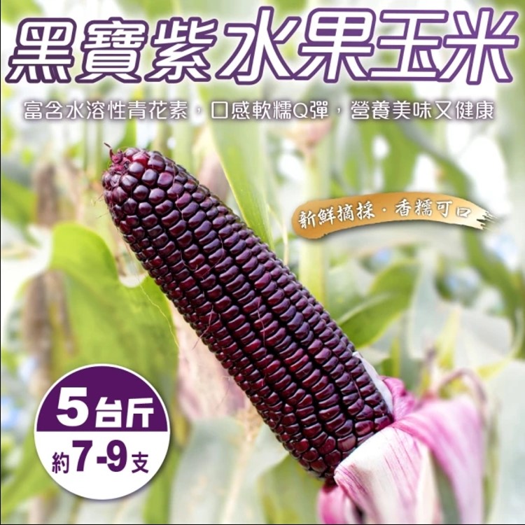 WANG蔬果 黑寶紫水果玉米(5斤/箱)