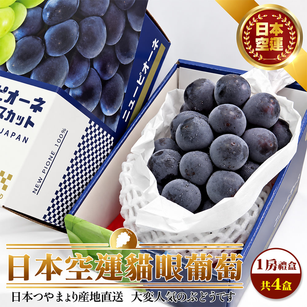WANG蔬果 日本空運貓眼葡萄禮盒(4串_700g/串)