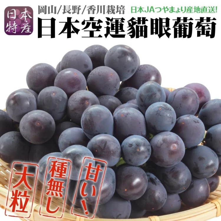 WANG蔬果 日本空運巨峰貓眼葡萄特大串(原箱6-7串/約5kg)