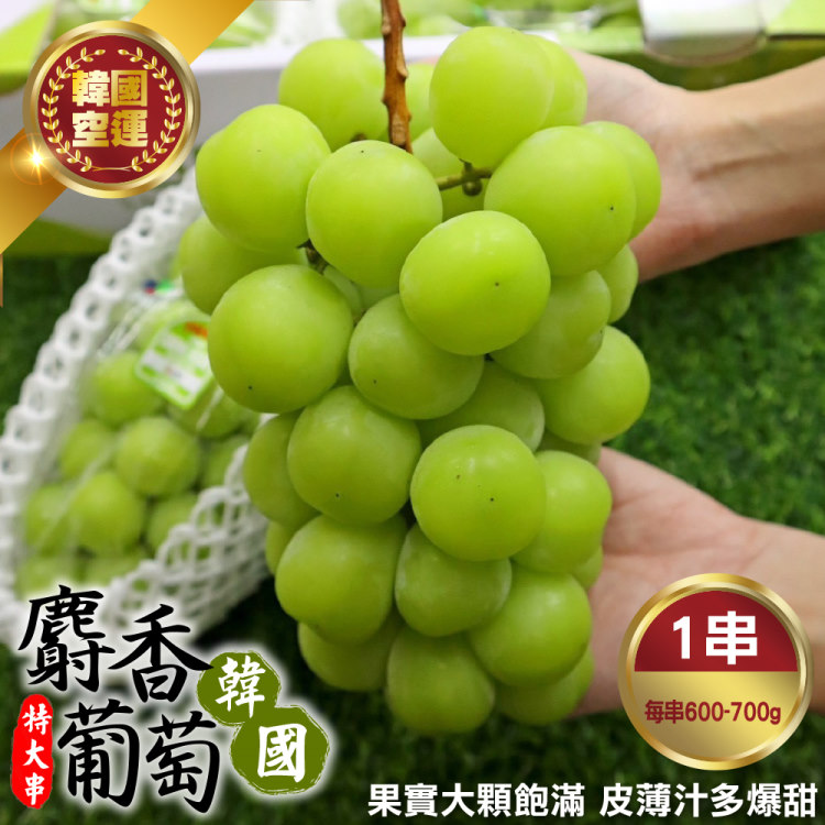 WANG蔬果 】韓國麝香葡萄-大串(1房禮盒_600-700g/串)
