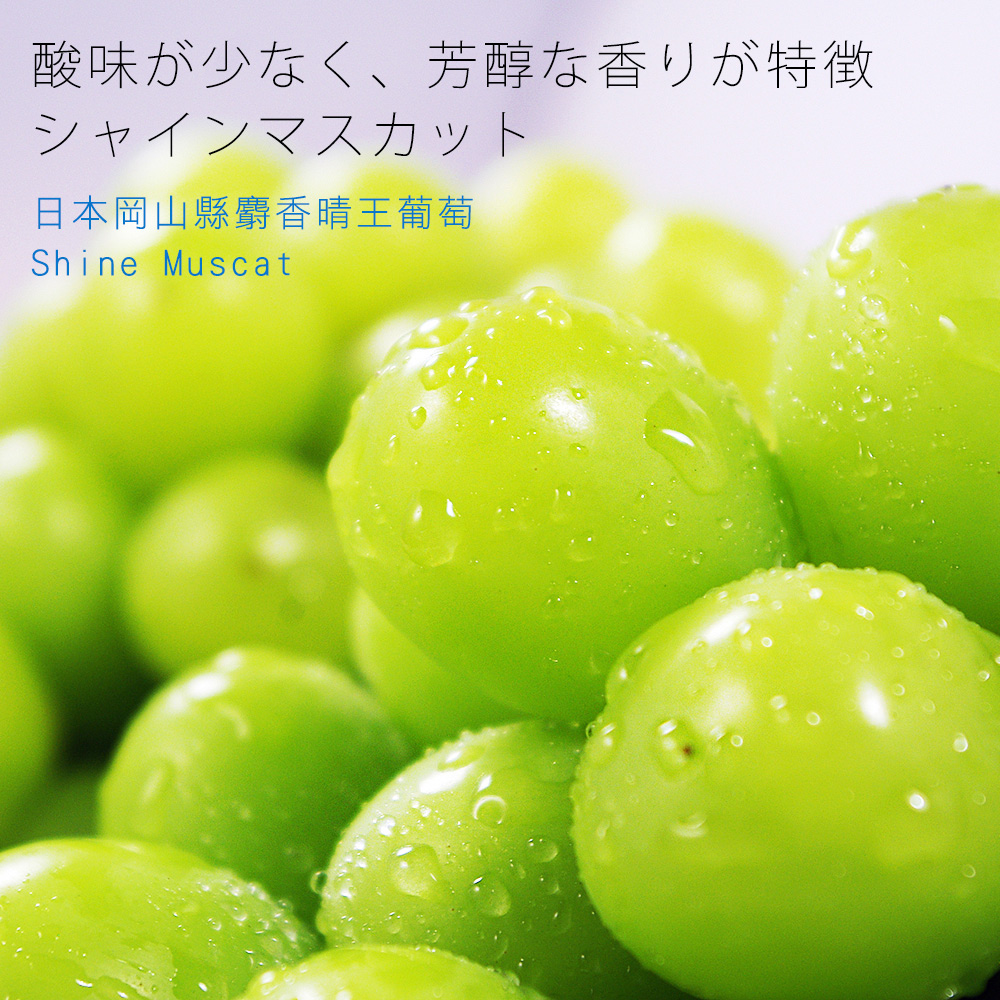 鮮果日誌 日本岡山縣麝香晴王葡萄(Shine Muscat)