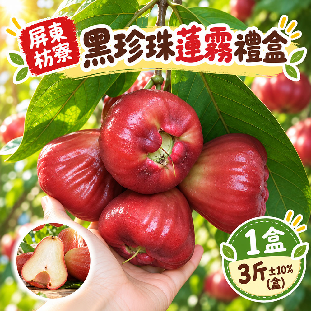 初品果 屏東枋寮黑珍珠蓮霧禮盒3斤x1盒(1號果)