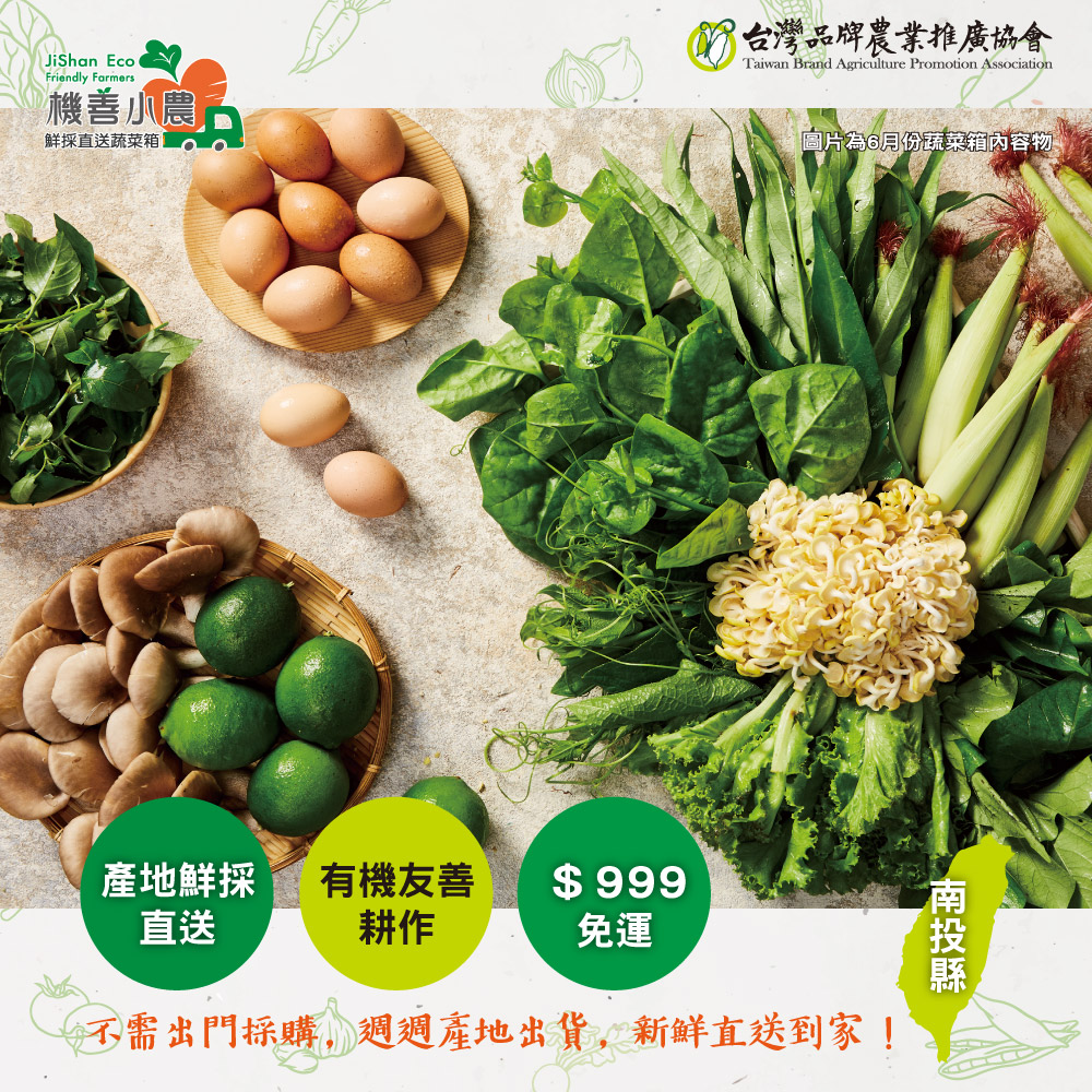 【機善小農_蔬菜箱】南投縣_家庭箱12件(每週出箱)(有機友善/產地鮮採直送/支持家鄉好農產)