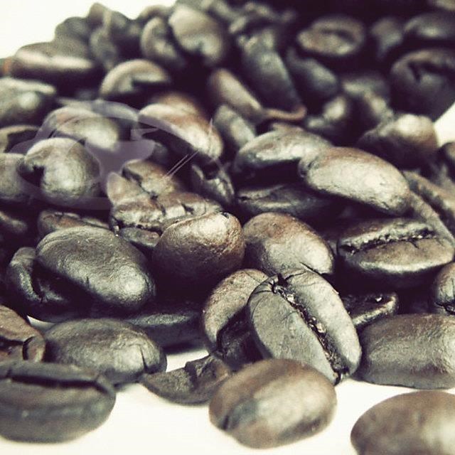 Gustare caffe 精選西達摩咖啡豆(半磅)