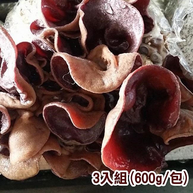鮮採家 溫室無毒新鮮黑木耳3入組(600g/包)（其他規格）