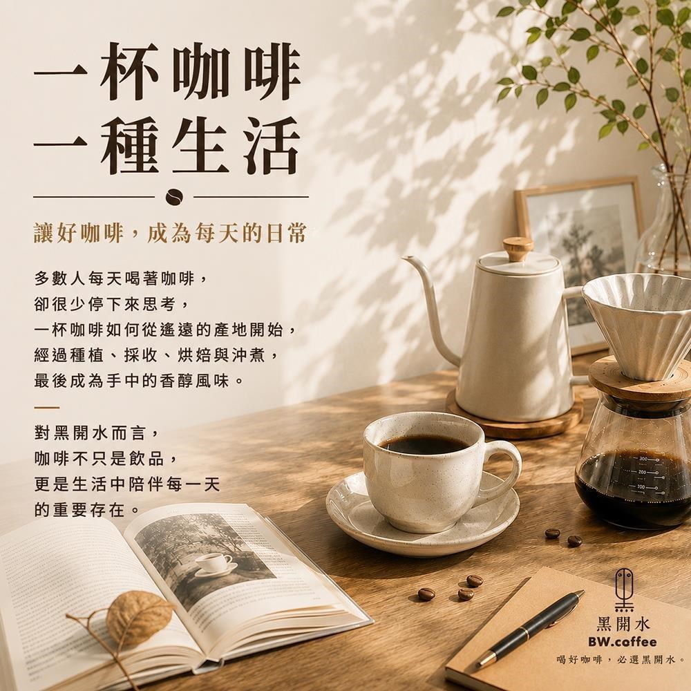 黑開水 現烘哥斯大黎加拉斯拉哈斯莊園黑靈魂咖啡豆1磅(450克)(日曬式)