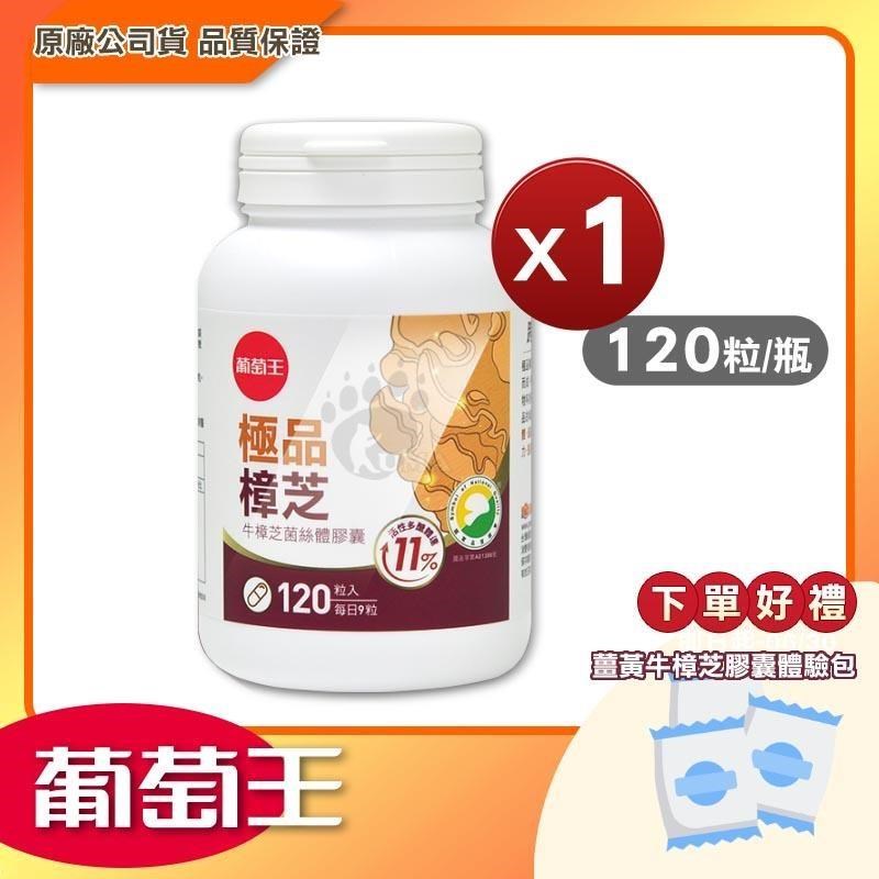 葡萄王 極品樟芝菌絲體膠囊 120粒/瓶