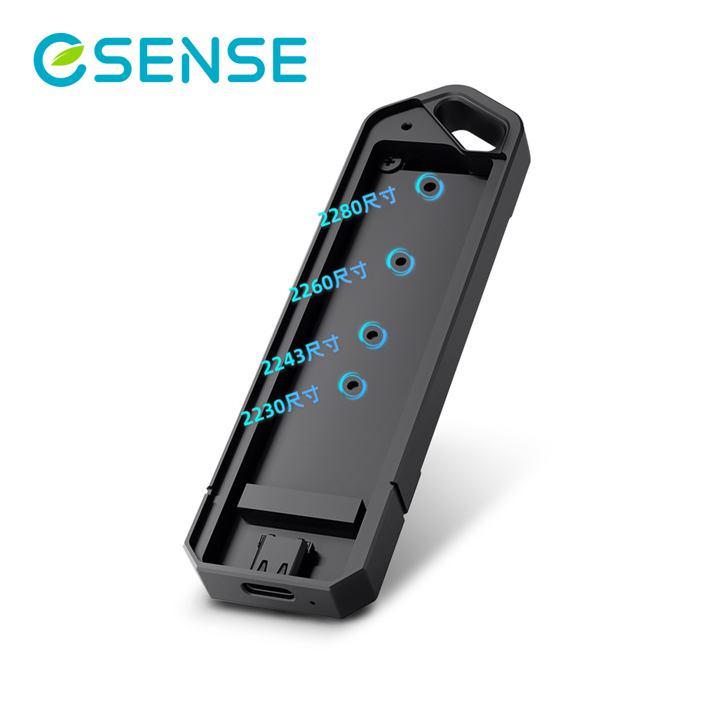 Esense 逸盛 M.2 NVMe / STSA SSD 雙協議 外接盒