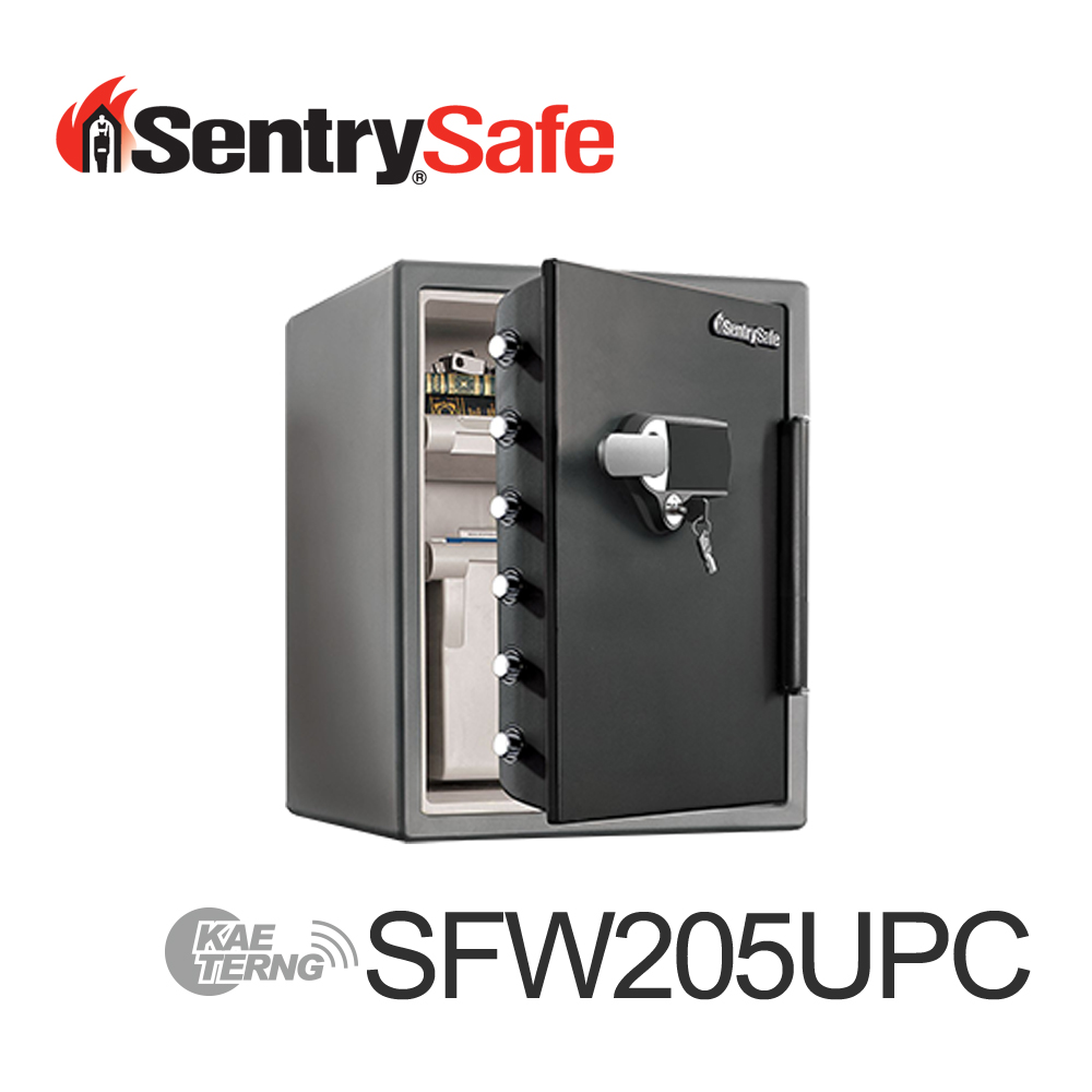 Sentry Safe 電子密碼鎖防火防水金庫SFW123GTC - PChome 24h購物