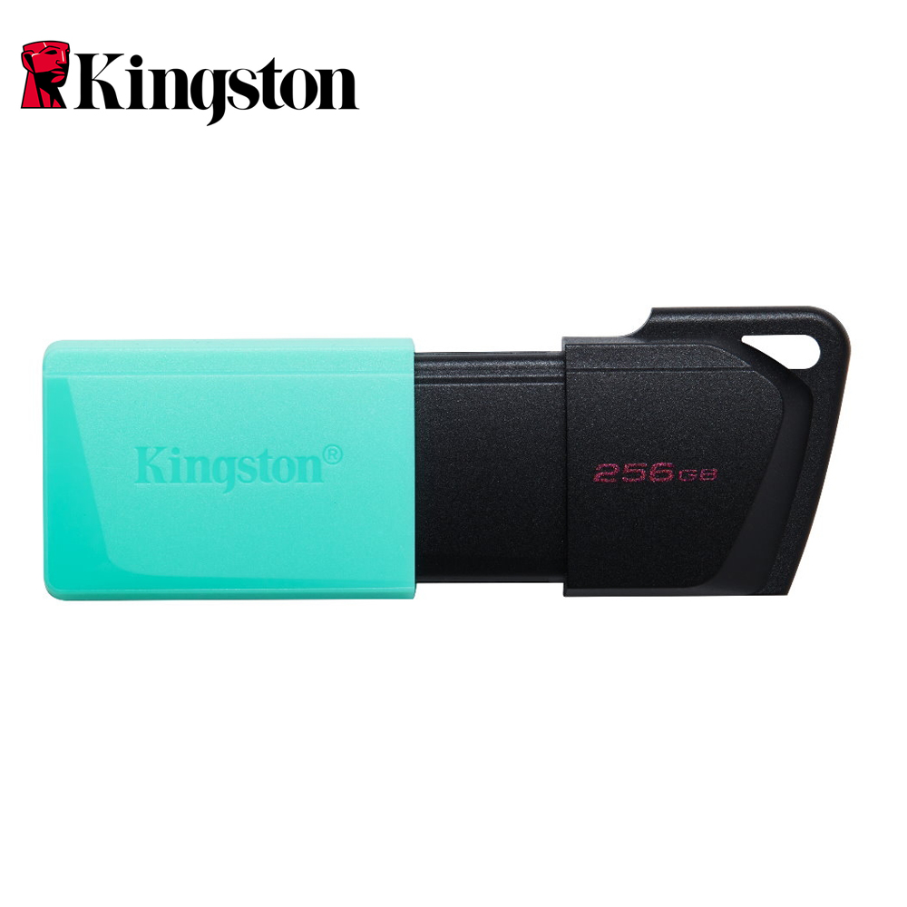 Kingston 金士頓 DataTraveler Exodia M 256GB USB 隨身碟