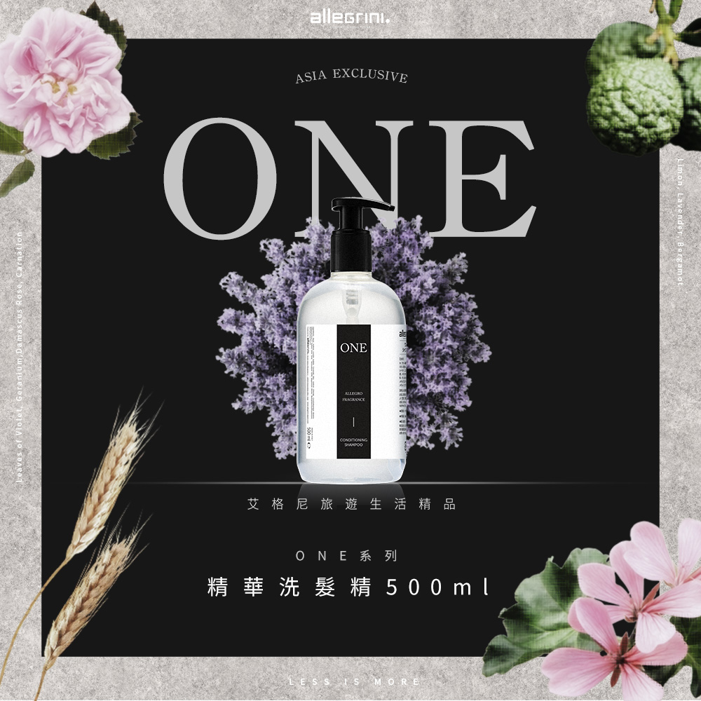 ALLEGRINI 艾格尼 ONE系列 精華洗髮精 500ml 國內外五星級飯店選用/義大利原裝進口