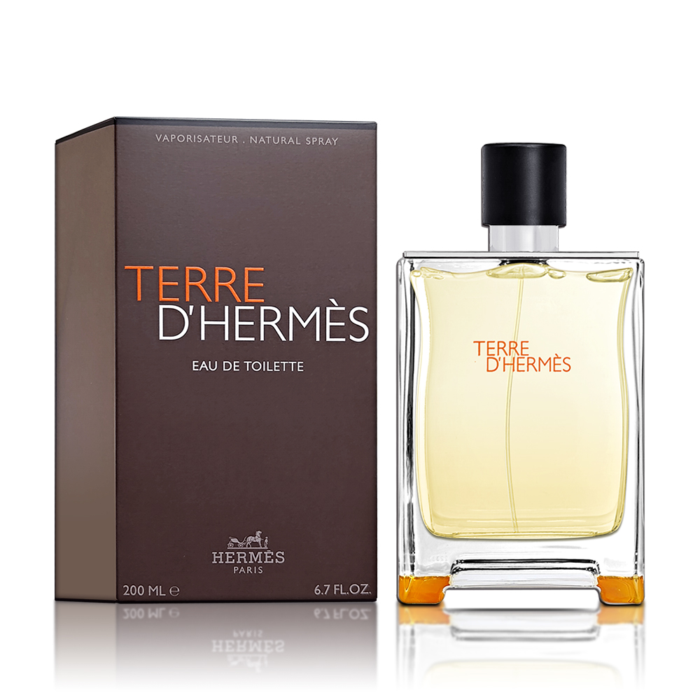 TERRE D'HERMÈS 50ml 男性用香水 HERMES エルメス TERRE D'HERMES テール ドゥ オードトワレ 50ml