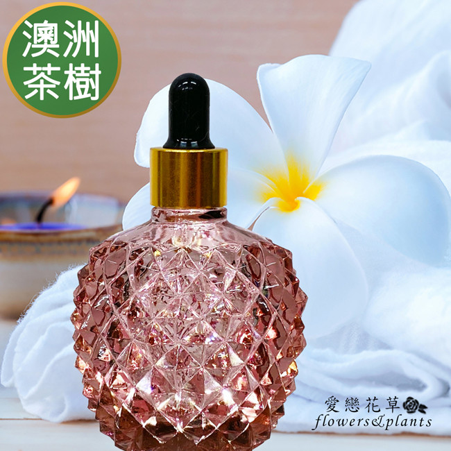 Flowers&Plants 愛戀花草 陽光澳洲茶樹水氧薰香精油 80ML/鑽石瓶(贈爆力熊擴香石3個)