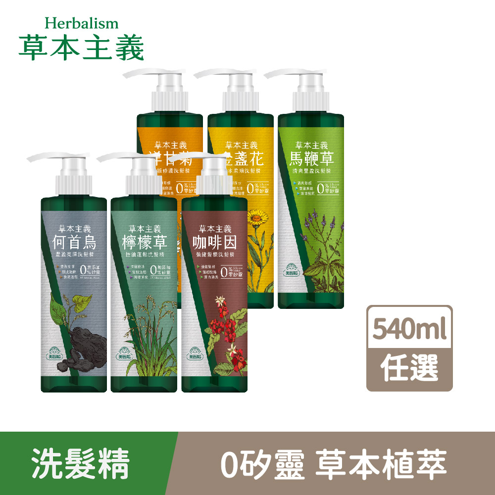 美濃 太白手 草花紋 盃 無庇完品