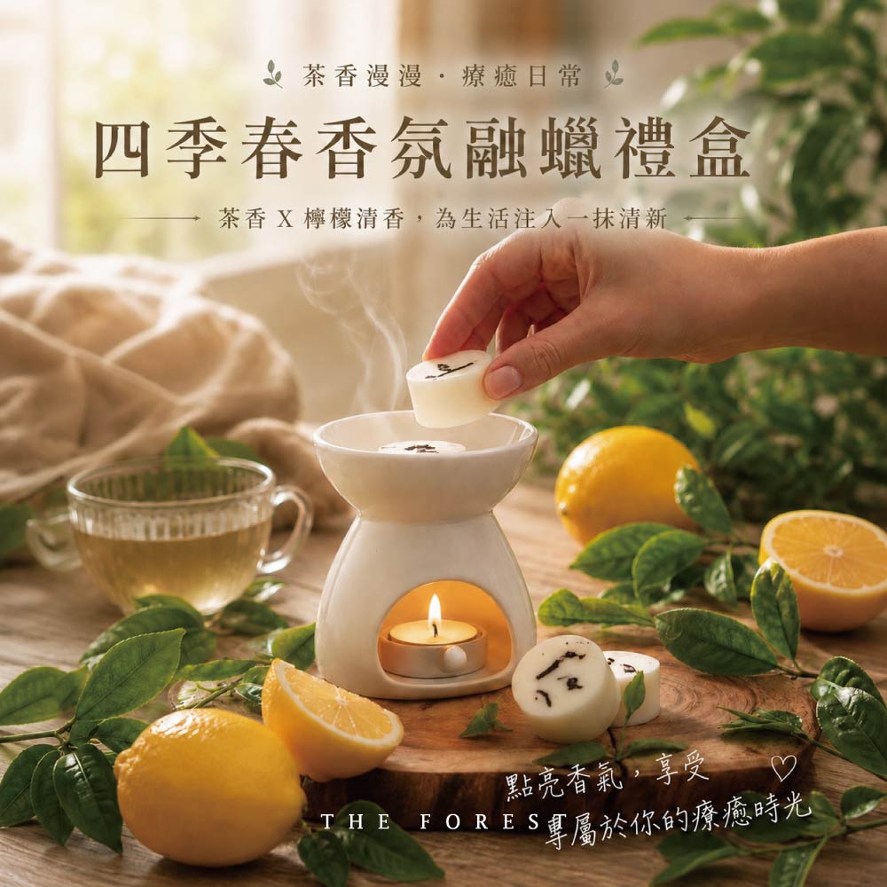 THE FOREST 癒森林 四季春香氛融蠟禮盒 4入香氛蠟塊+融蠟燭燈 蠟塊 香氛蠟塊 融蠟燈 融蠟爐 香氛蠟燭 居家香氛 擴香 居家療癒 香氛擺設 精油香氛 放鬆助眠 室內香氛 香氛禮物
