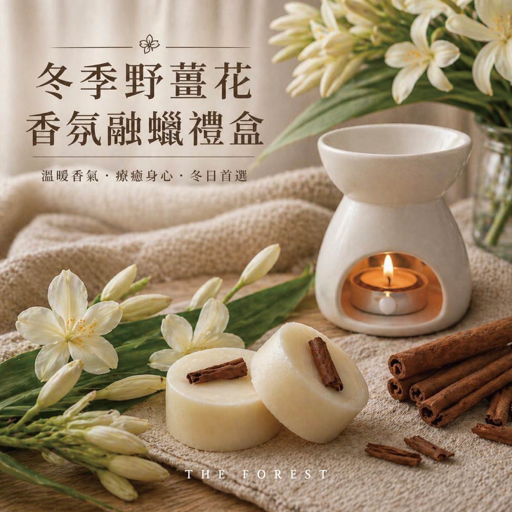 THE FOREST 癒森林 冬季野薑花香氛融蠟禮盒 聖誕香氛蠟塊4入+融蠟燭燈 蠟塊 香氛蠟塊 融蠟燈 融蠟爐 香氛蠟燭 居家香氛 擴香 居家療癒 香氛擺設 精油香氛 放鬆助眠 室內香氛 香氛禮物