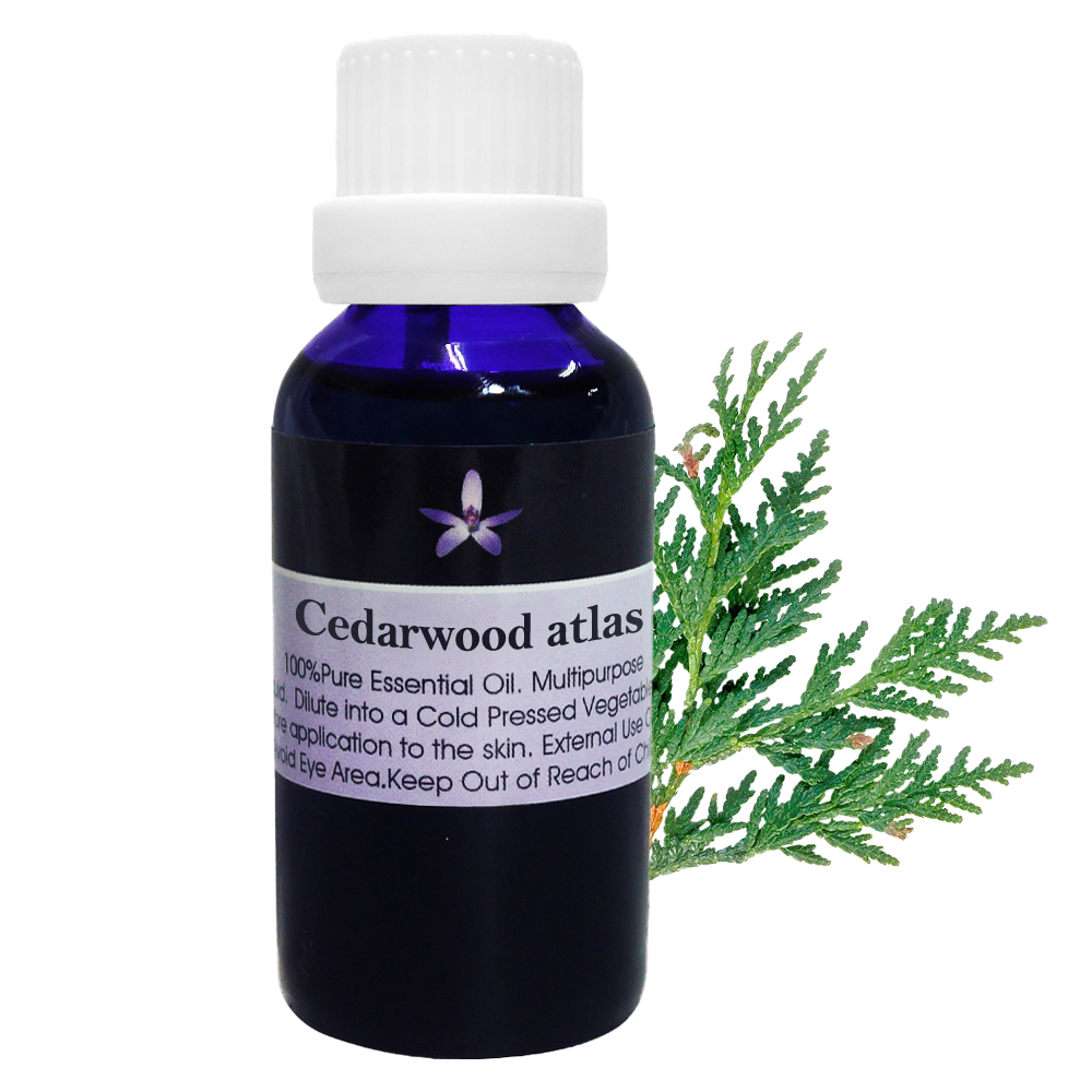 Body Temple 身體殿堂 100%雪松芳療精油(Cedarwood atlas)30ml