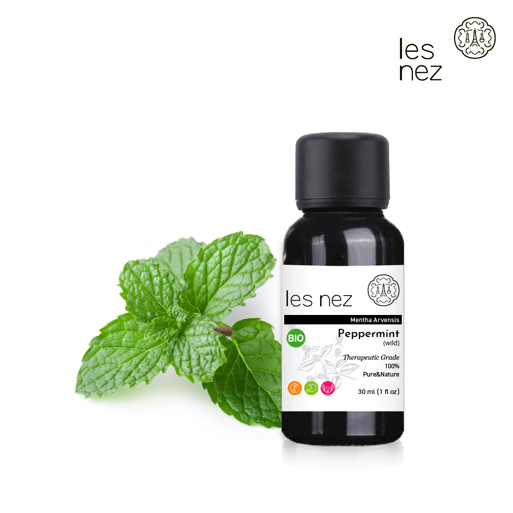 Les nez 香鼻子 單方野地薄荷純精油 30ML