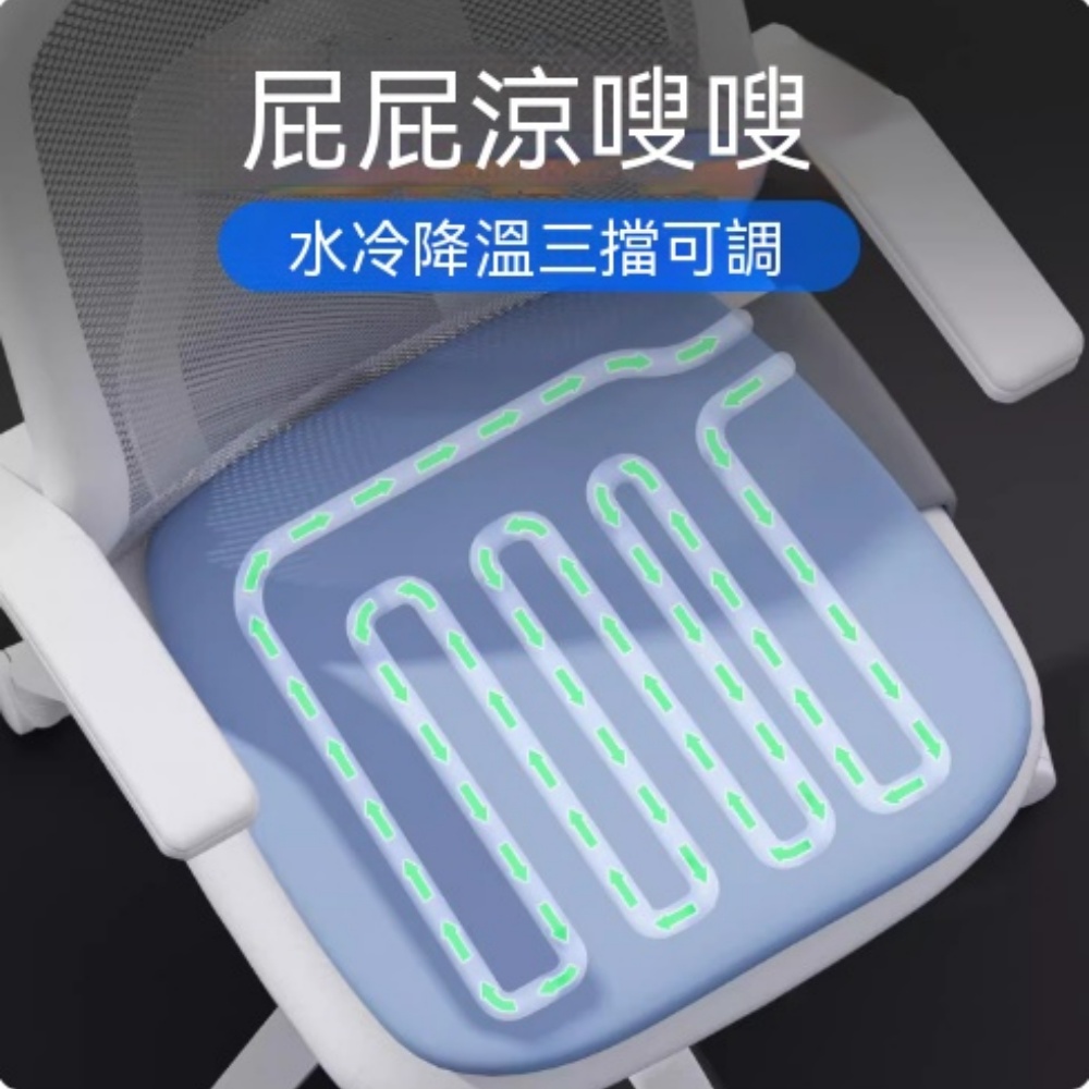 ZHENCAI 臻彩 水迴圈散熱通風坐墊水冷辦公貨車汽車座椅夏季透氣製冷冰涼墊