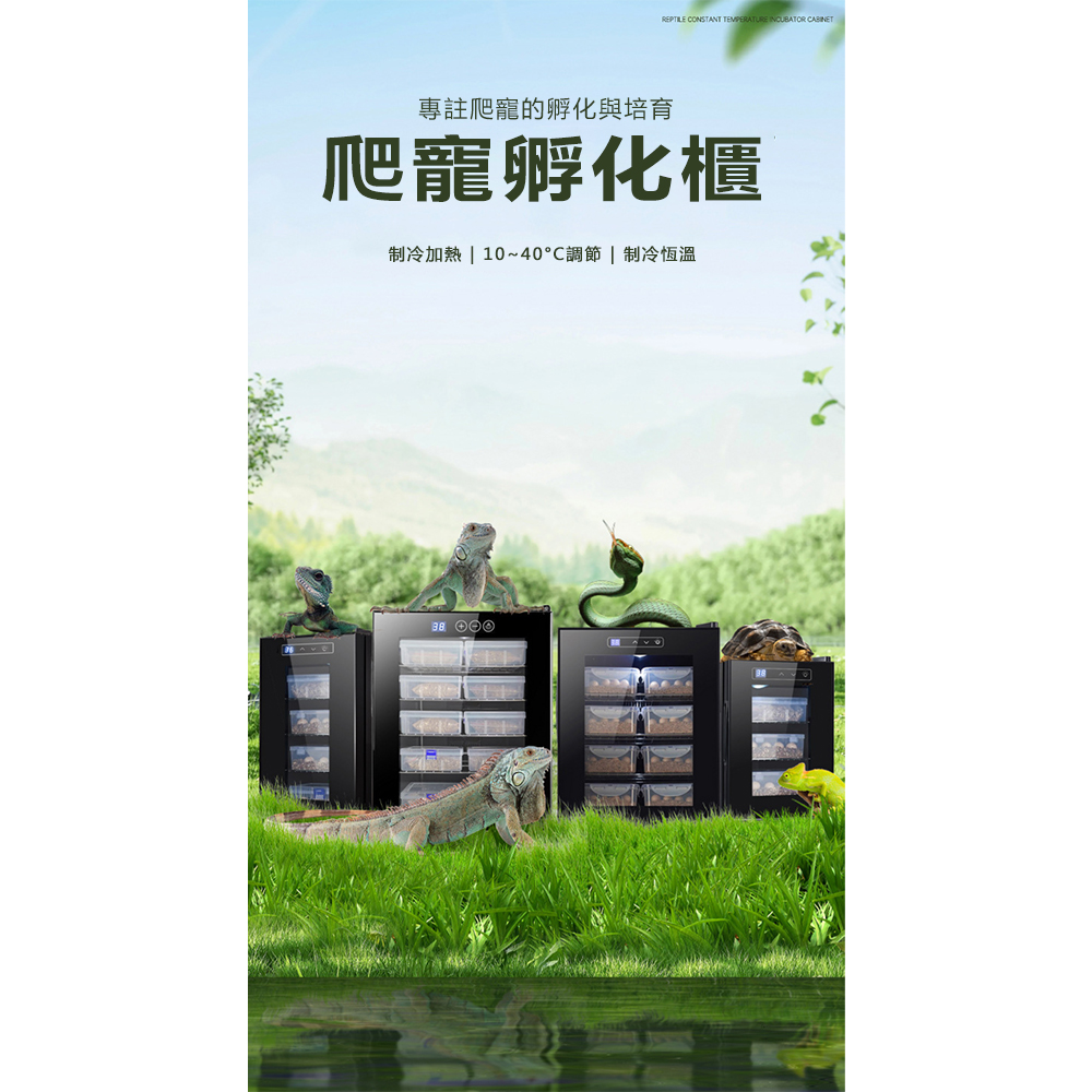 掛軸　蘭桂　猛虎　共箱 Quick Release FKM Rubber Watch Straps - NO tool | Strapcode