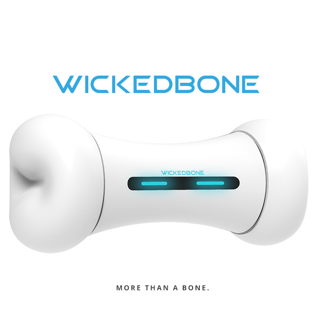 innSelect WickedBone 瘋骨頭 智能寵物玩伴