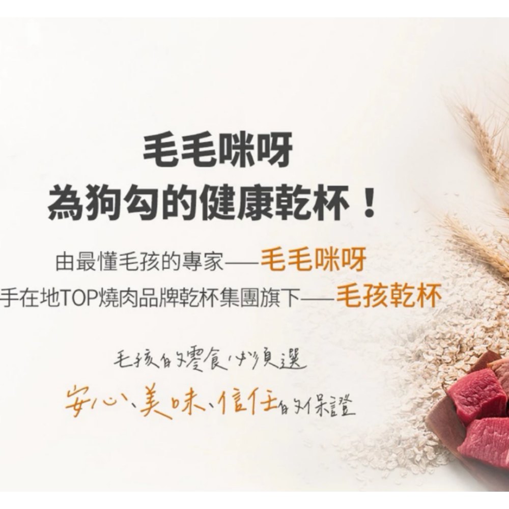 寵物牛肉乾 貓咪隧道