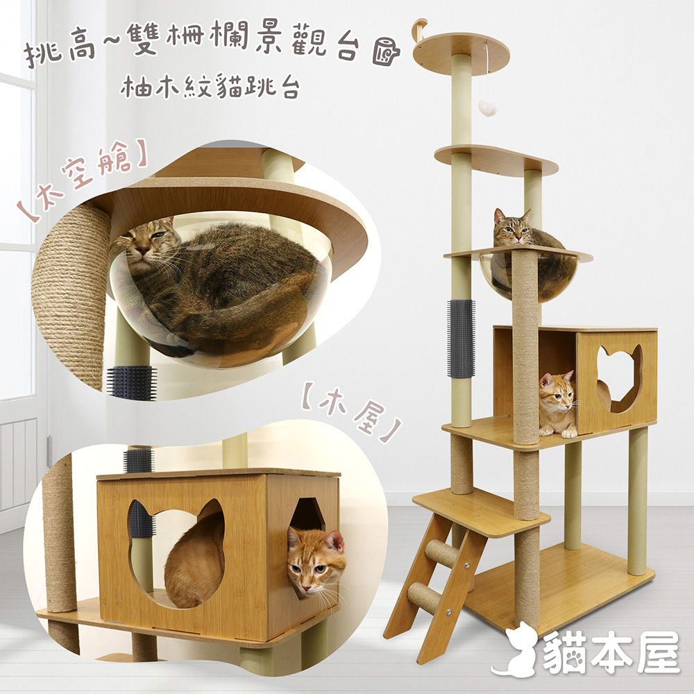 貓本屋 175cm挑高雙柵欄觀景台 太空艙柚木紋貓跳台(附蹭毛柱)