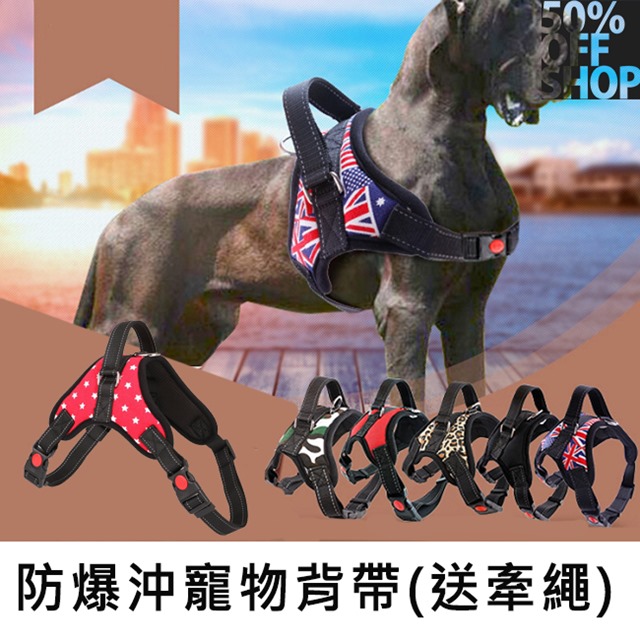 防爆沖牽引繩│寵物胸背帶(送牽繩)-黑貼標
