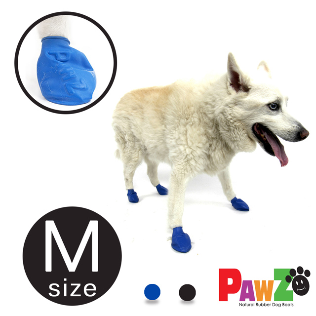 美國 Pawz 寵物外出天然橡膠腳套12入(M size)