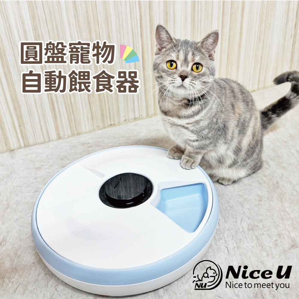 圓盤六格寵物自動餵食器(一年保固)