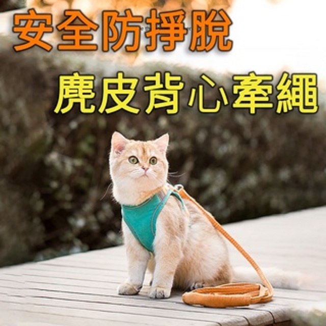 ROYALLIN 蘿林嚴選 免運費