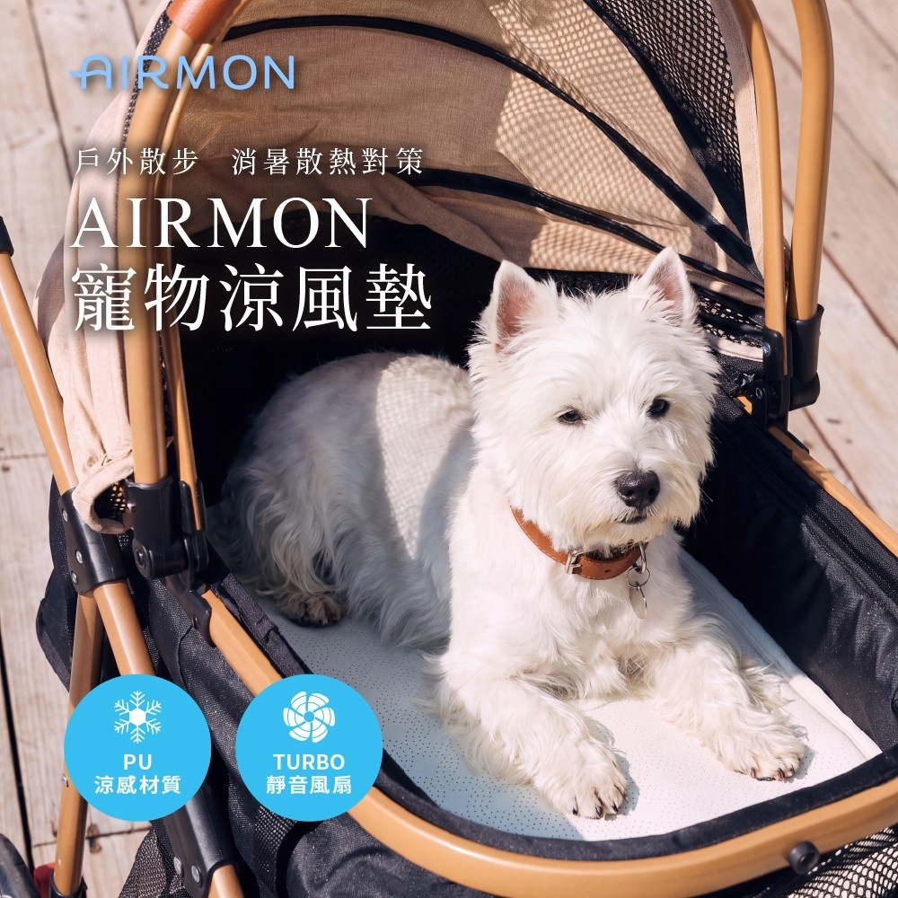 韓國【AIRMON】寵物涼風墊 Size L (60x30x4 cm)