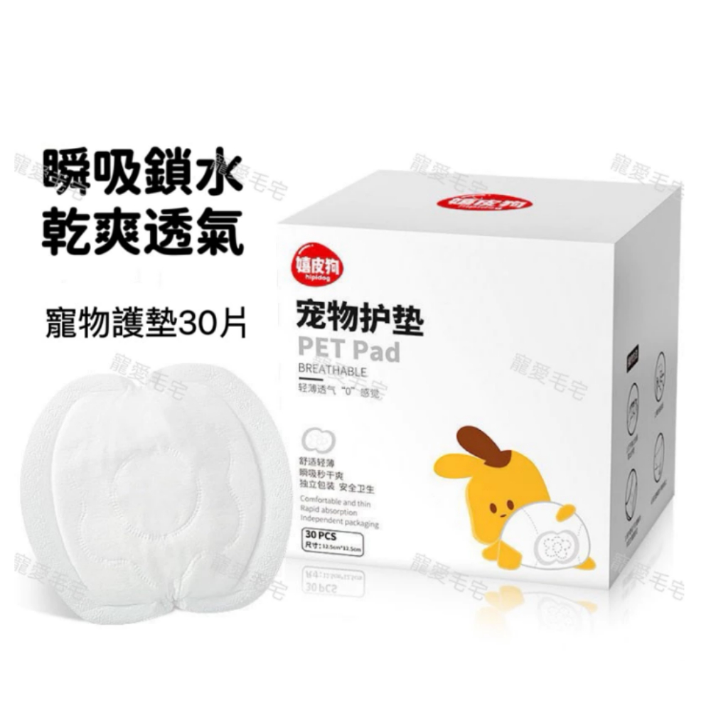 寵物經期護理墊 寵物尿布