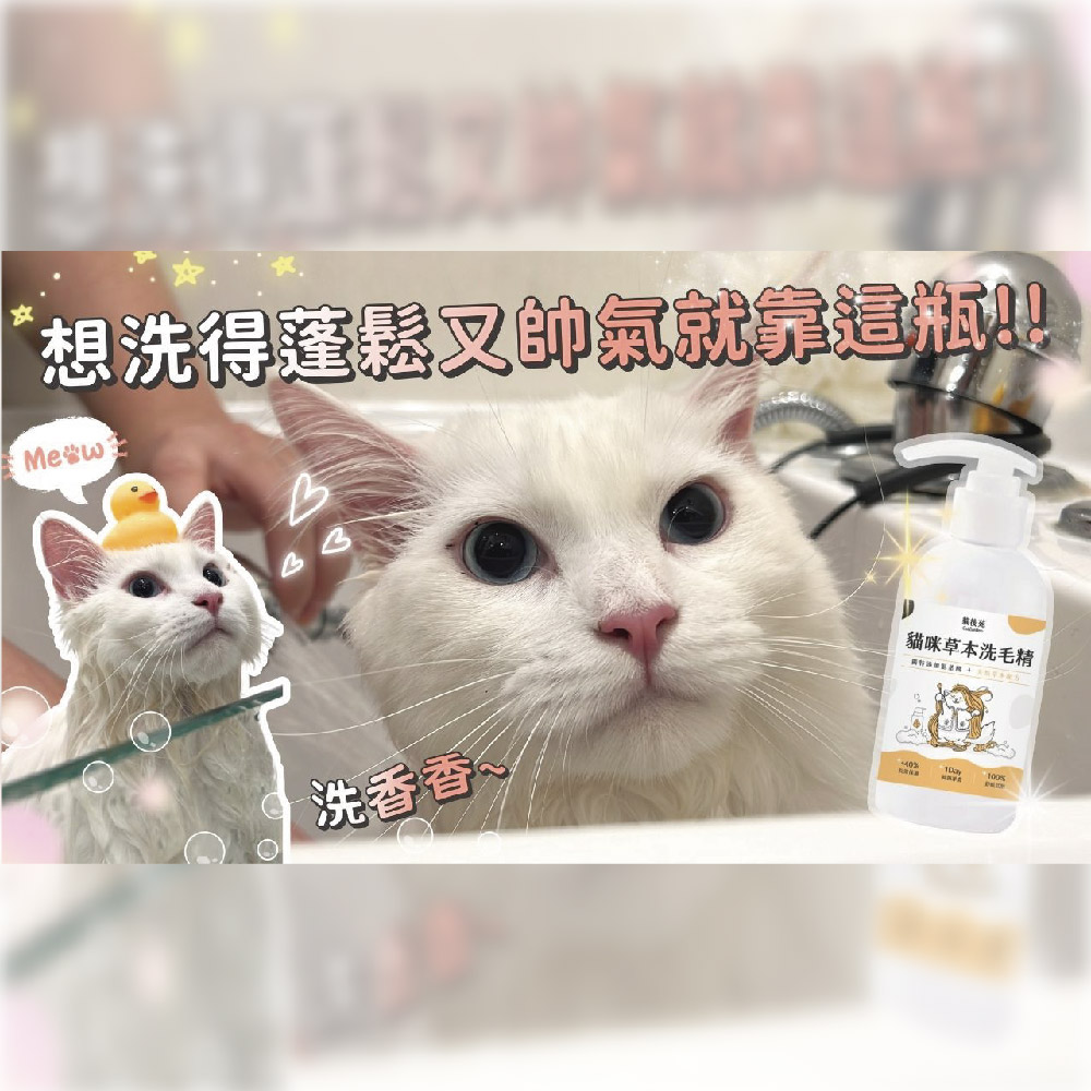 catgarden 貓後苑  貓咪草本洗毛精 試用組 1罐